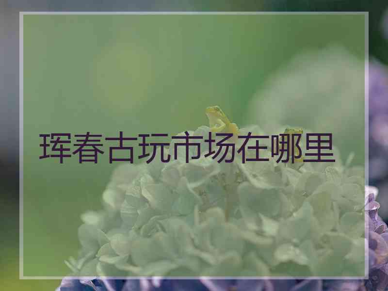 珲春古玩市场在哪里