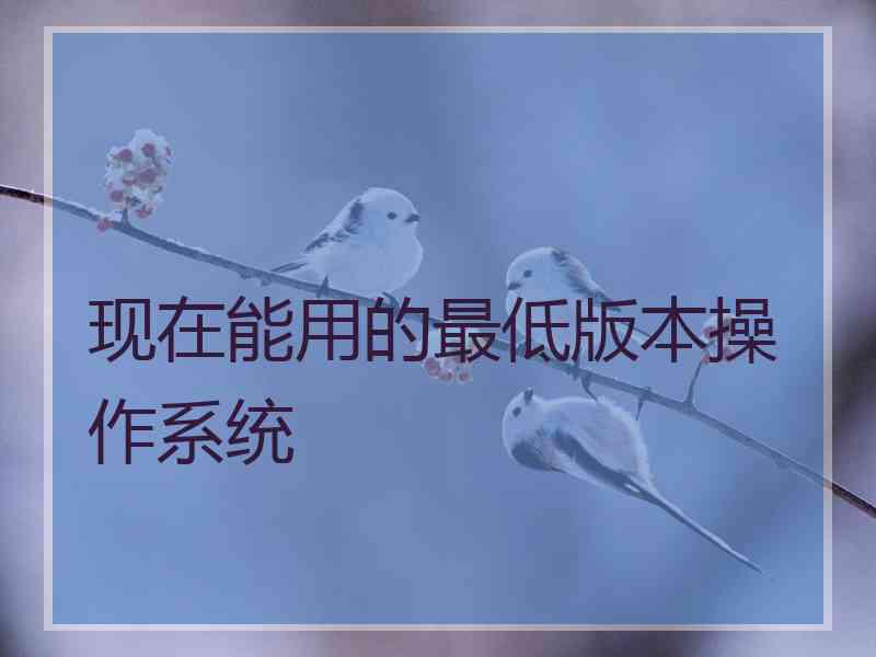 现在能用的最低版本操作系统