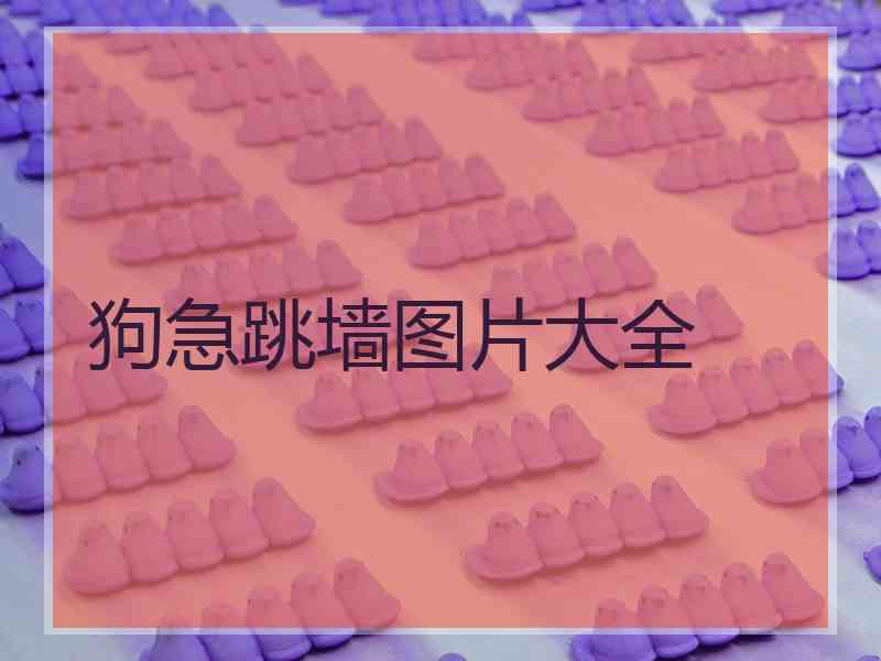 狗急跳墙图片大全