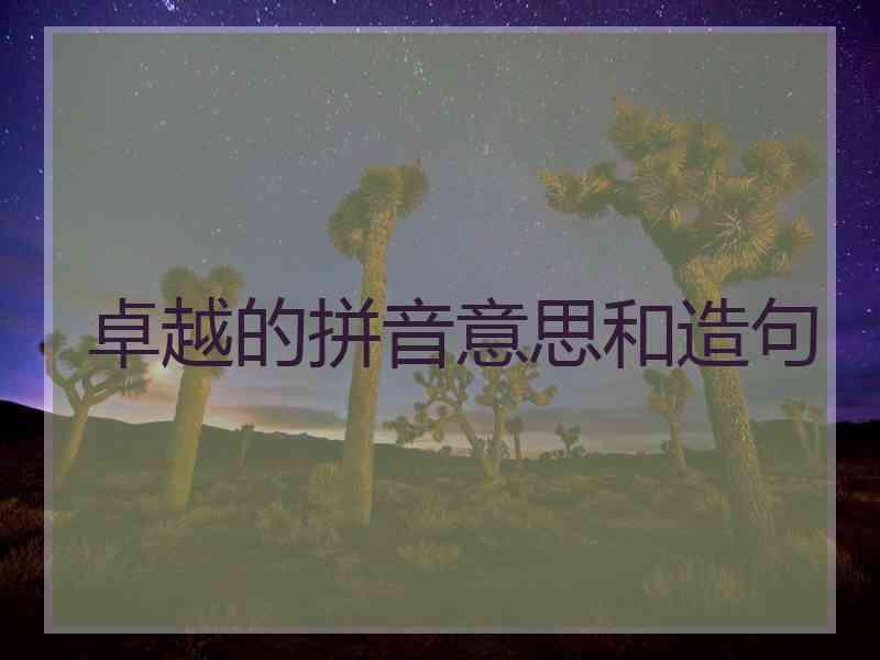 卓越的拼音意思和造句