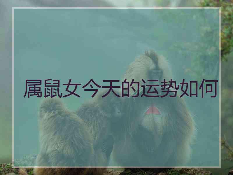属鼠女今天的运势如何