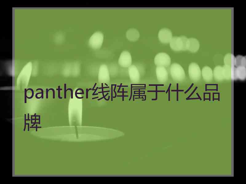 panther线阵属于什么品牌