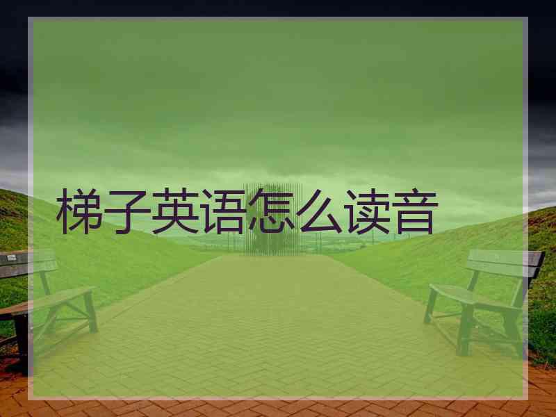 梯子英语怎么读音