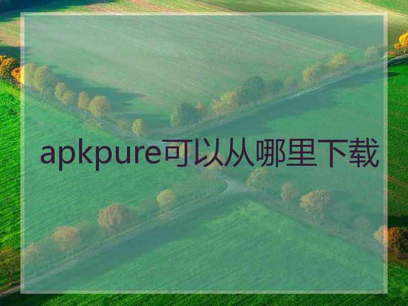 apkpure可以从哪里下载