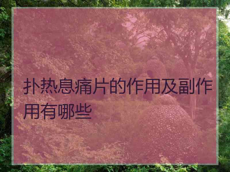 扑热息痛片的作用及副作用有哪些