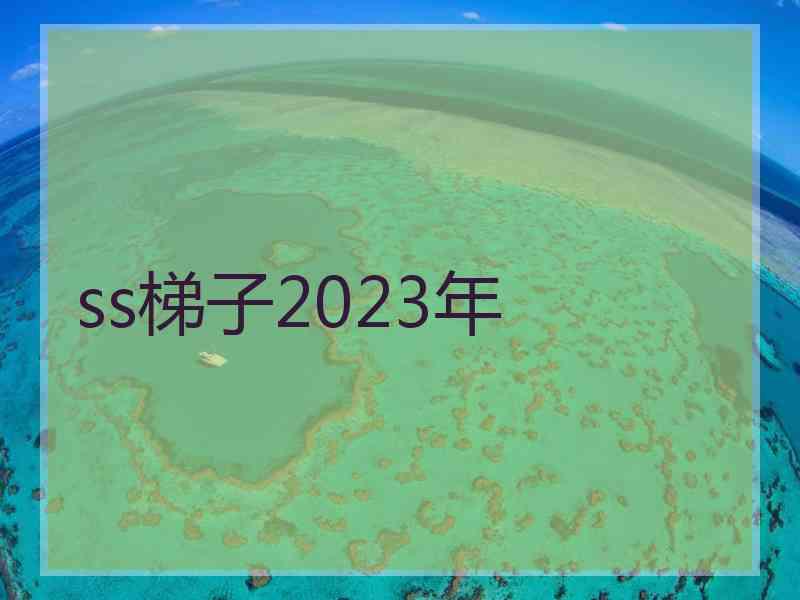 ss梯子2023年