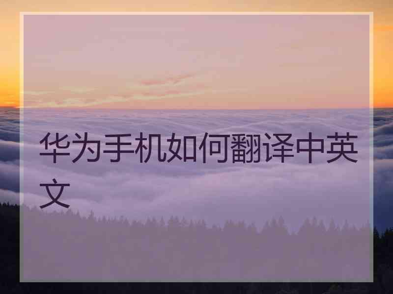 华为手机如何翻译中英文