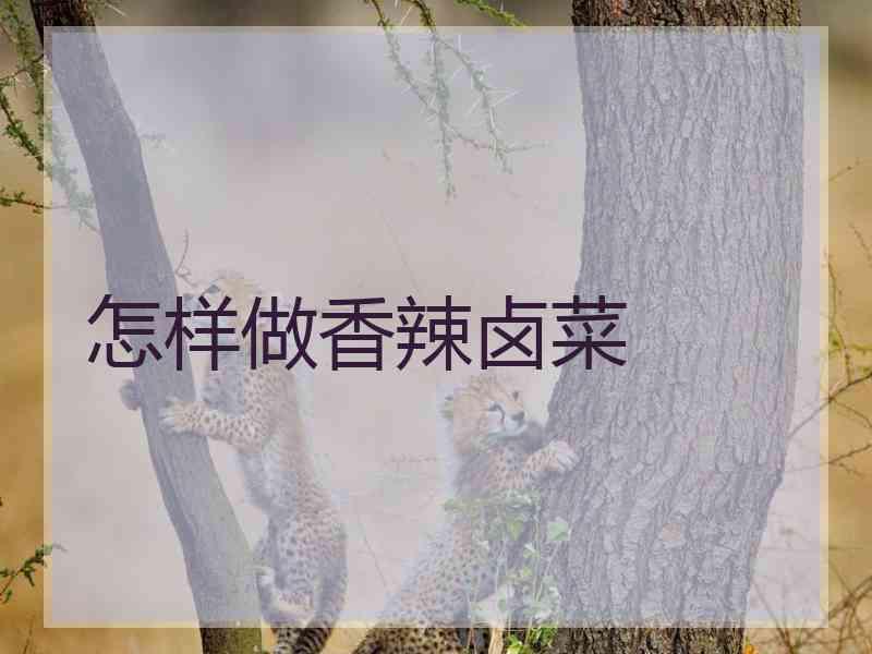怎样做香辣卤菜