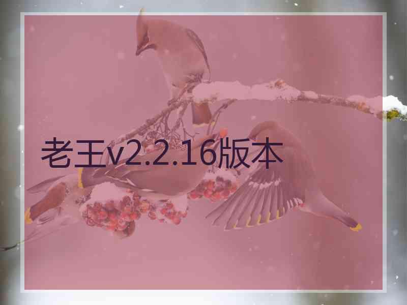 老王v2.2.16版本