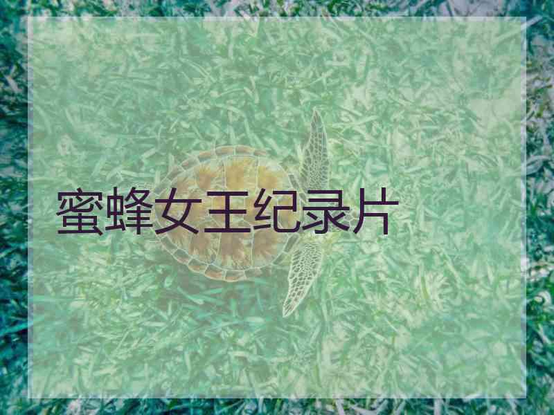 蜜蜂女王纪录片