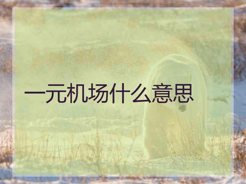 一元机场什么意思