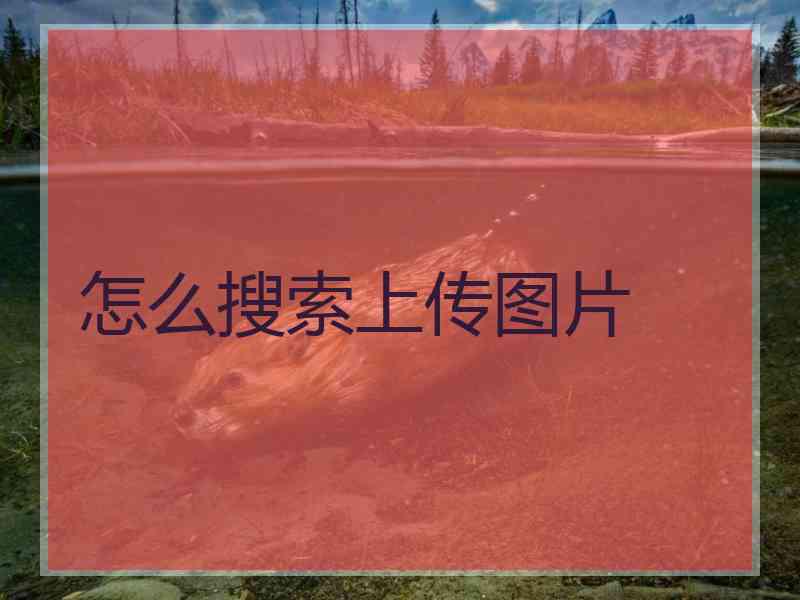 怎么搜索上传图片