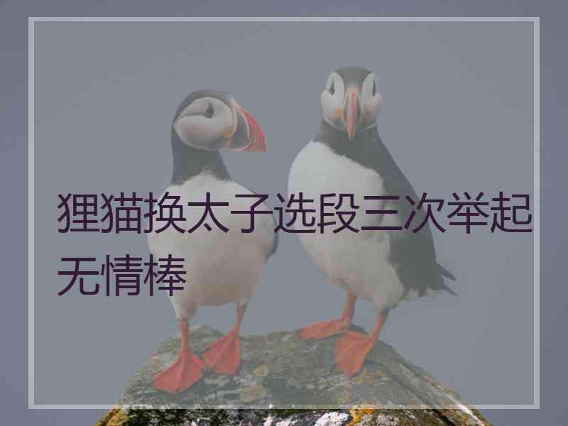 狸猫换太子选段三次举起无情棒