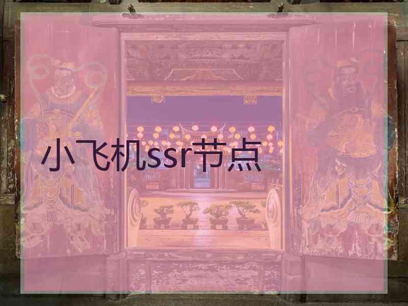 小飞机ssr节点
