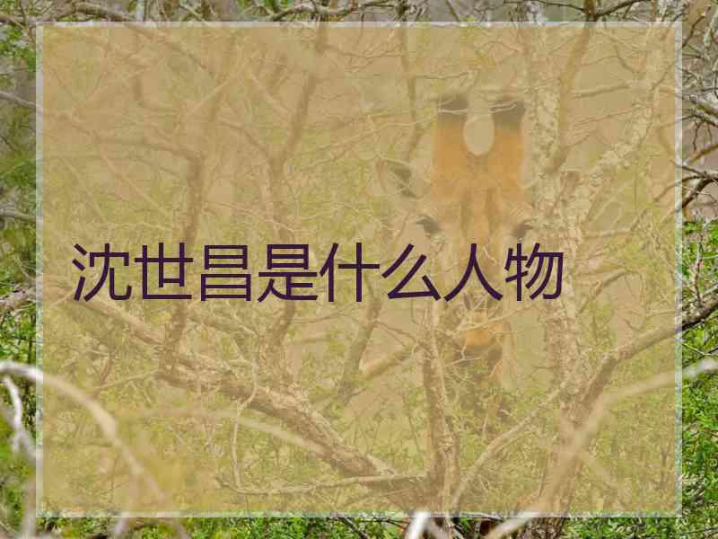 沈世昌是什么人物