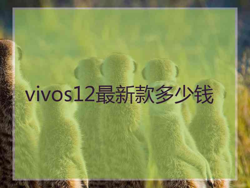 vivos12最新款多少钱