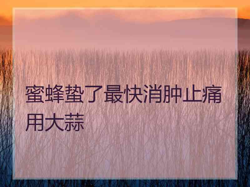 蜜蜂蛰了最快消肿止痛用大蒜