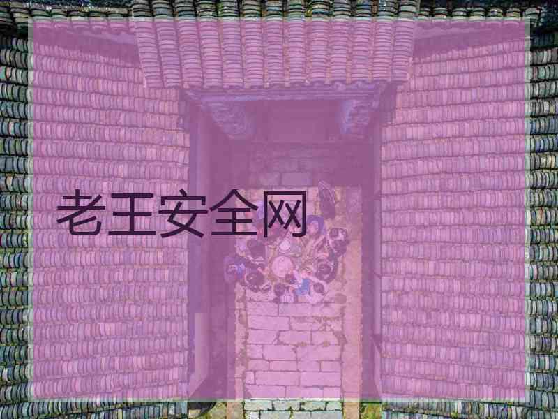 老王安全网