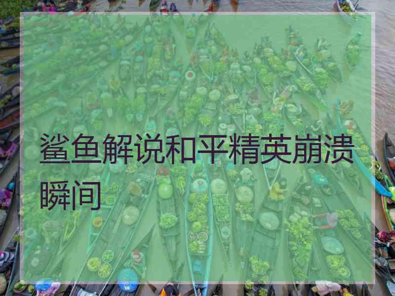 鲨鱼解说和平精英崩溃瞬间