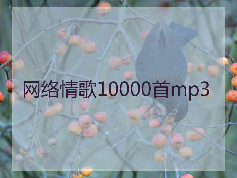 网络情歌10000首mp3