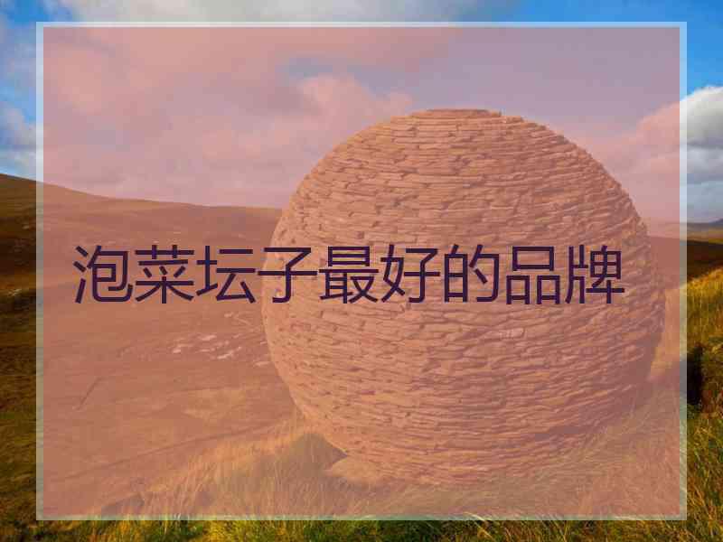 泡菜坛子最好的品牌