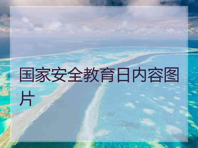 国家安全教育日内容图片
