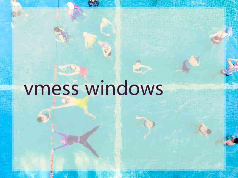 vmess windows