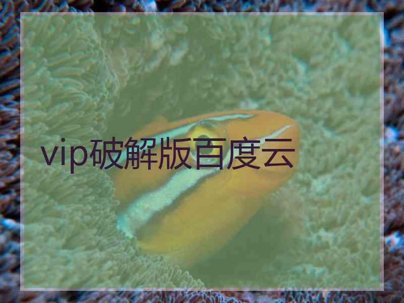 vip破解版百度云