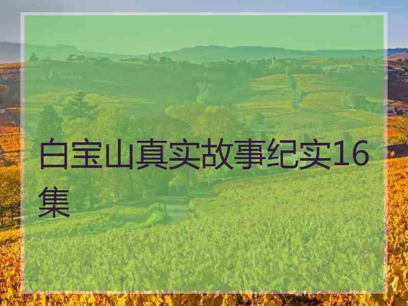 白宝山真实故事纪实16集