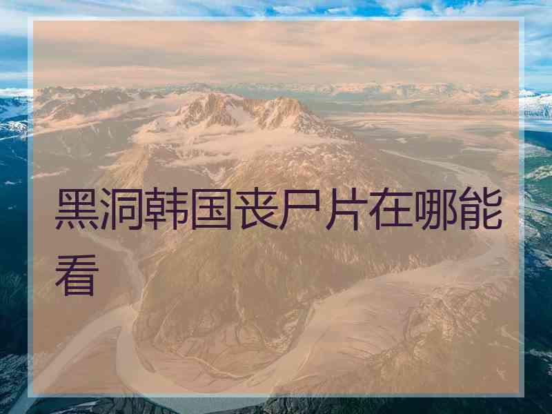 黑洞韩国丧尸片在哪能看