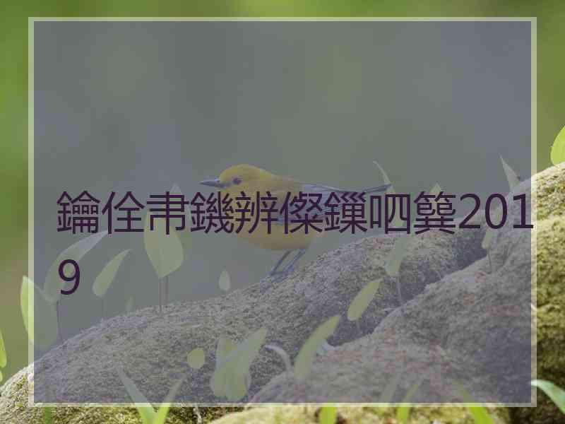 鑰佺帇鐖辨儏鏁呬簨2019