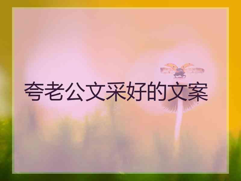 夸老公文采好的文案