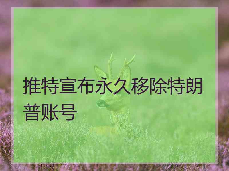 推特宣布永久移除特朗普账号