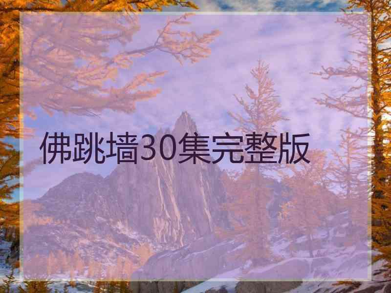 佛跳墙30集完整版
