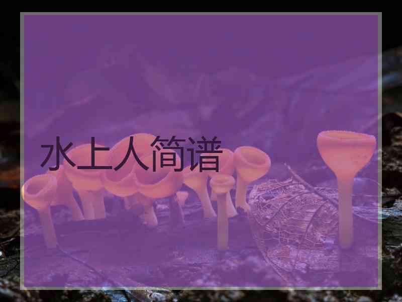 水上人简谱