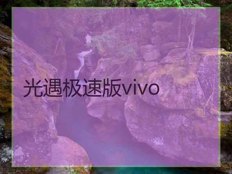 光遇极速版vivo