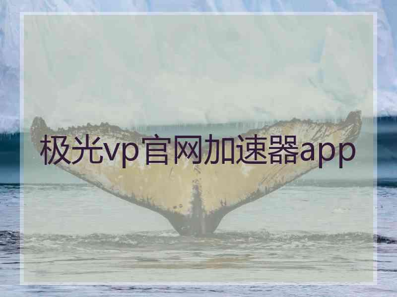 极光vp官网加速器app