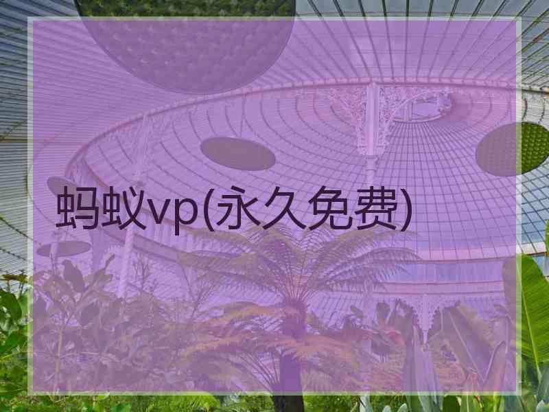 蚂蚁vp(永久免费)