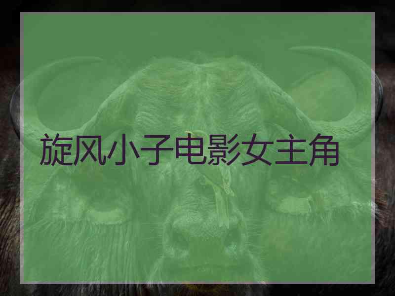 旋风小子电影女主角