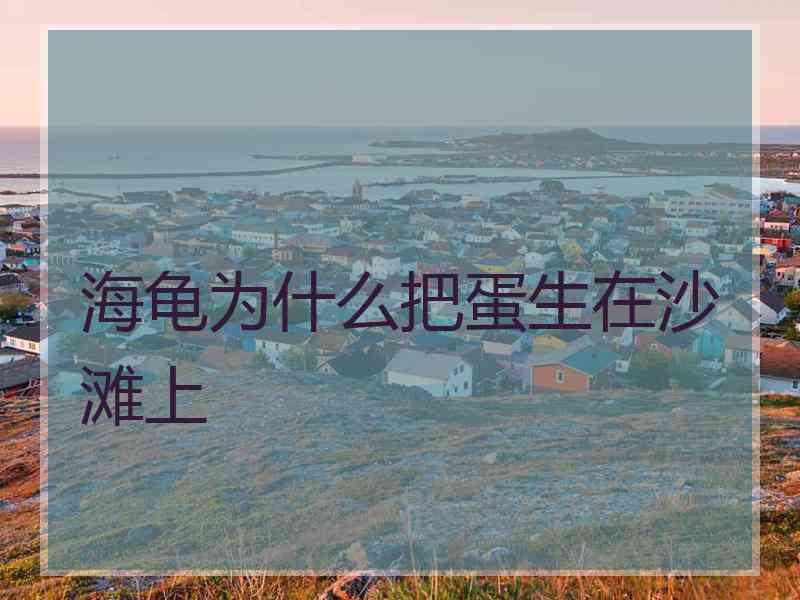 海龟为什么把蛋生在沙滩上