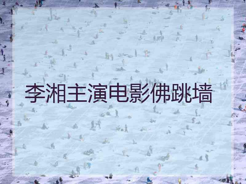 李湘主演电影佛跳墙