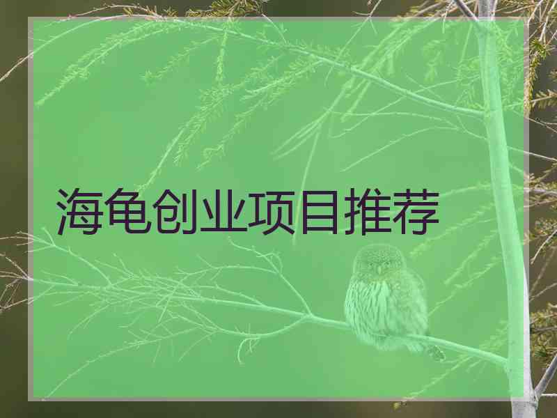 海龟创业项目推荐