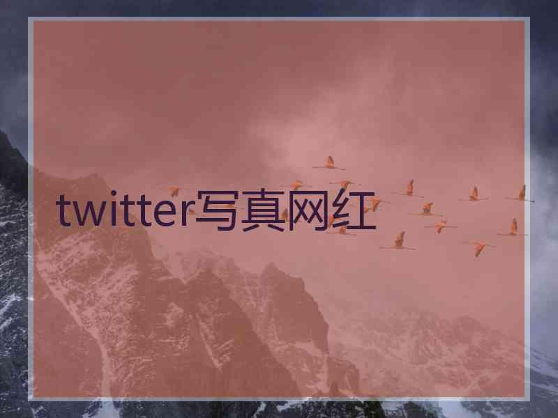 twitter写真网红
