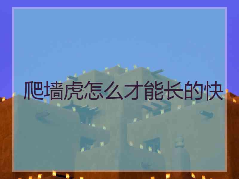 爬墙虎怎么才能长的快