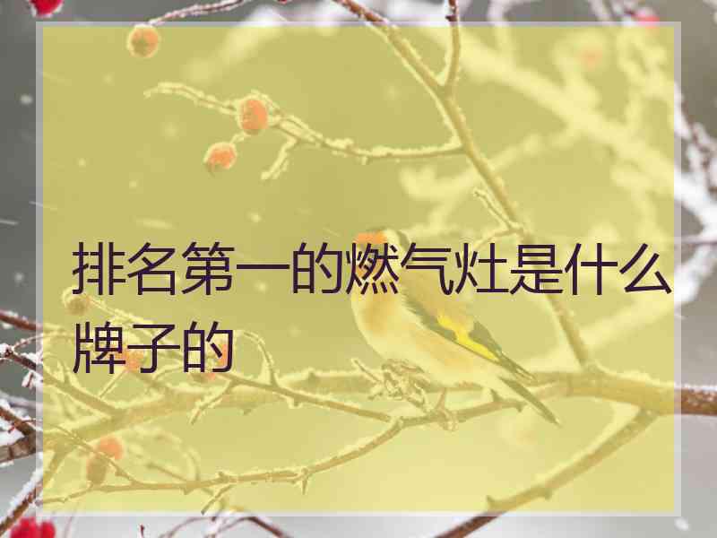 排名第一的燃气灶是什么牌子的