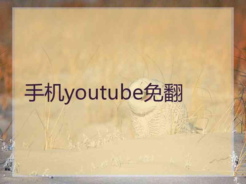 手机youtube免翻