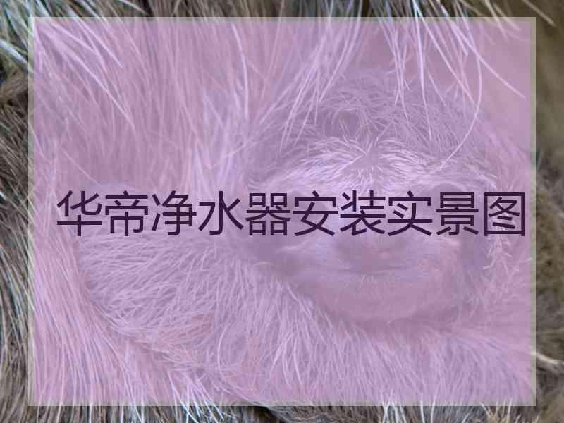 华帝净水器安装实景图