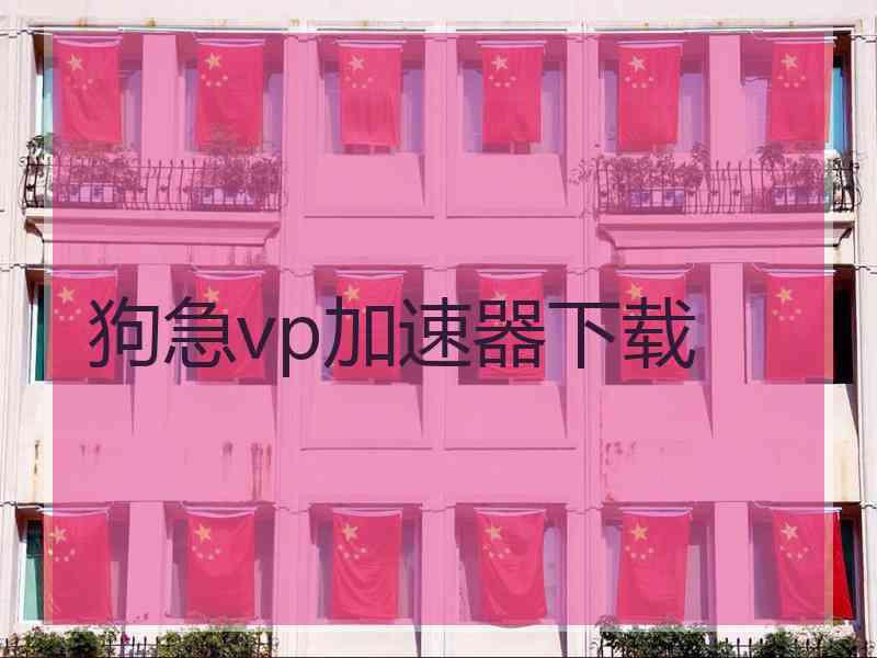 狗急vp加速器下载