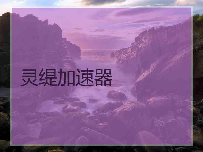 灵缇加速器