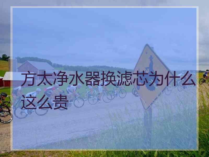 方太净水器换滤芯为什么这么贵